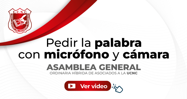 Pedir la palabra con micrófono y cámara